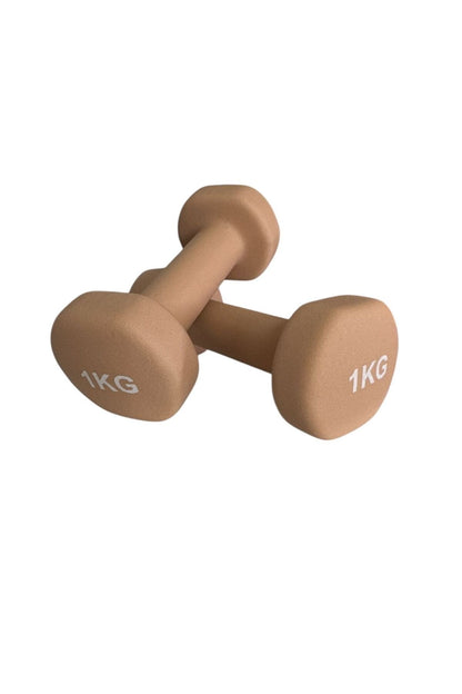 Vinly Neoprene Kaplamalı Döküm Demir Dambıl Estetik Soft Pilates Fitness Ağırlığı 2 adet x 1 KG