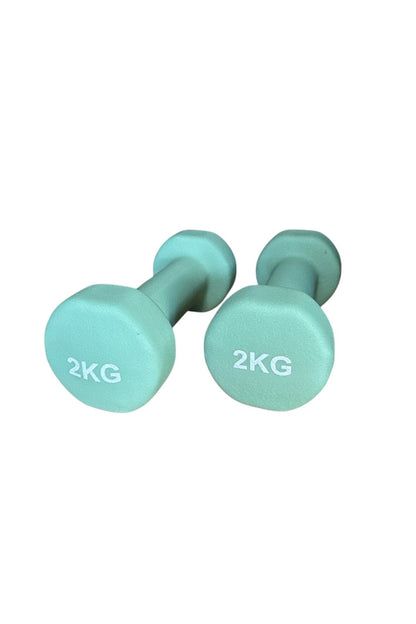 Vinly Neoprene Kaplamalı Döküm Demir Dambıl Estetik Soft Pilates Fitness Ağırlığı 2 adet x 2 KG