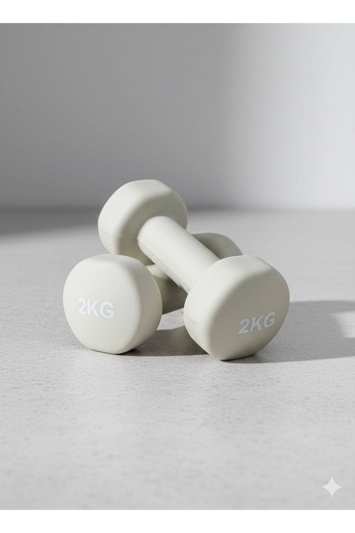 Vinly Neoprene Kaplamalı Döküm Demir Dambıl Estetik Soft Pilates Fitness Ağırlığı 2 adet x 2 KG